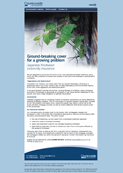 Knotweed – New Japanese knotweed policy